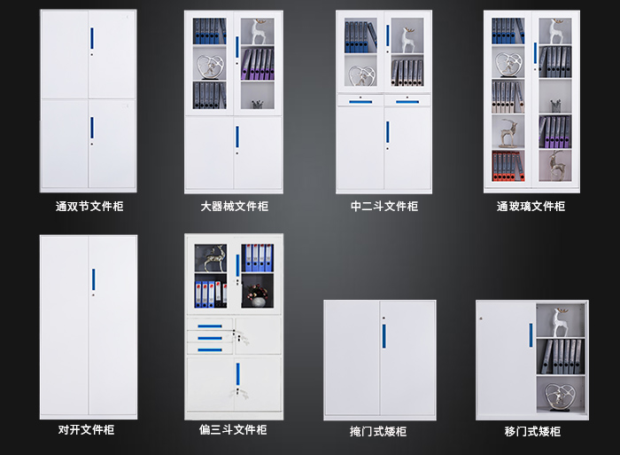 海發(fā)HF-GGLS系列文件柜，鋼制文件柜，辦公文件柜